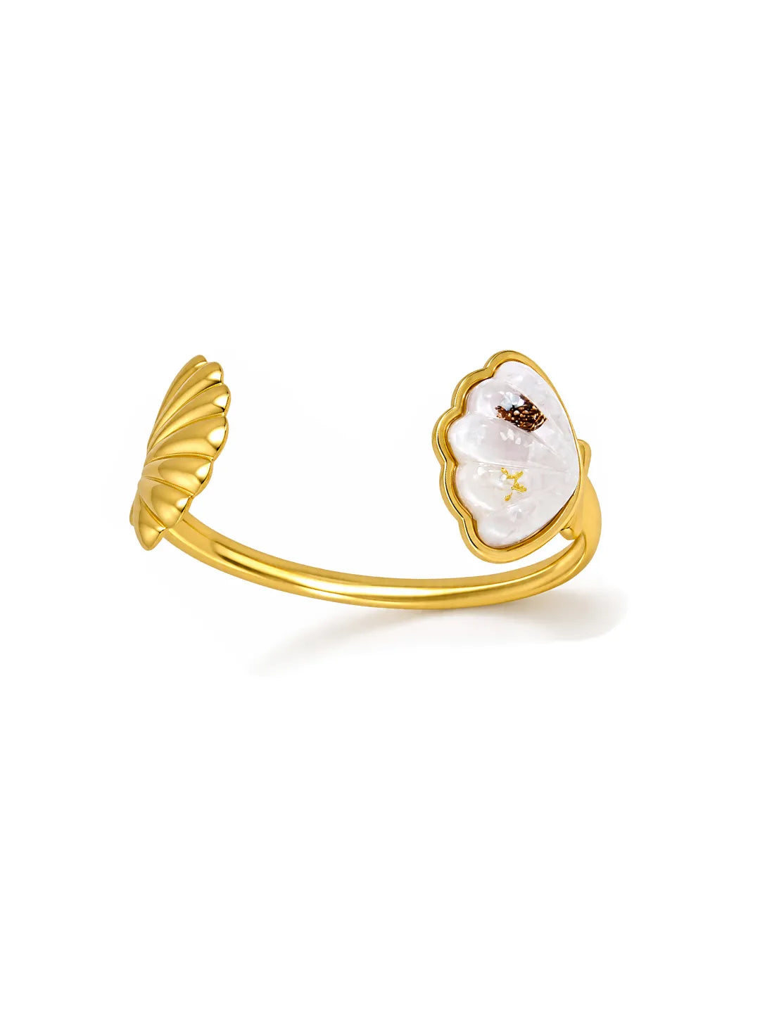 GOLDEN SHELL SET